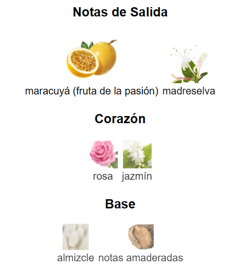 Ellas Inspirada Incanto Salvatore Ferragamo - Cuzco