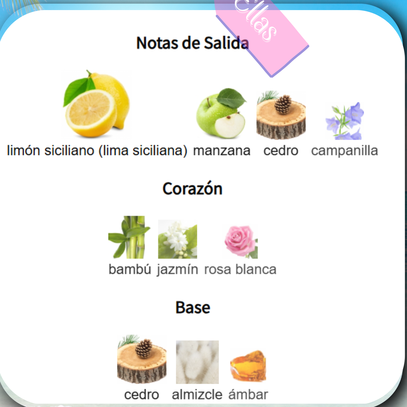 Ellas Inspirada en Iight Blue D&G - Turquesa